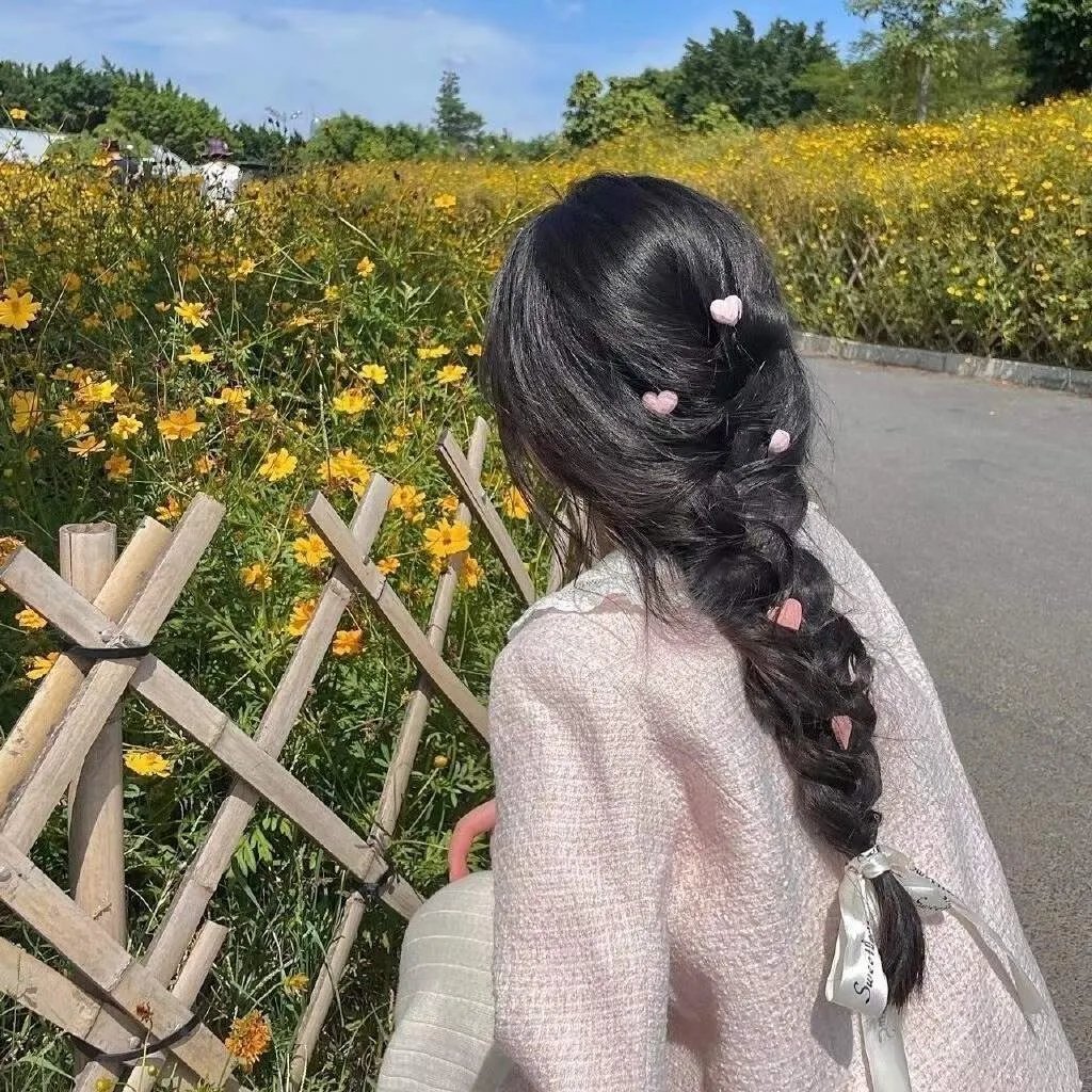 晴雅集海报